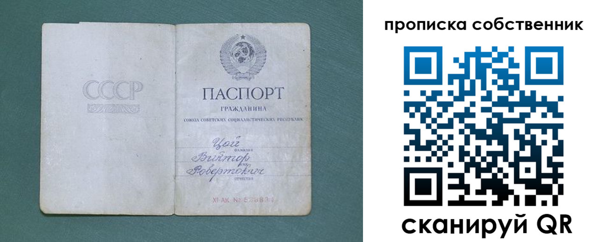 прописка гарантия в Новочеркасске